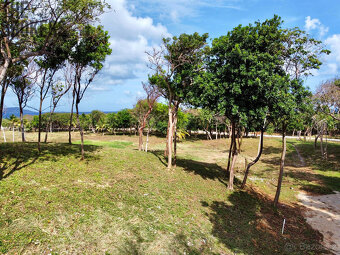 Luna Azul Lot#38, Roatan - 3