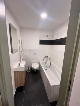 Podkrovní byt 2kk - 3