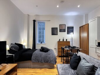 Pronájem bytu 1+kk – 30 m² - 3