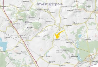 Prodej vinice v k.ú. Čejkovice - 3