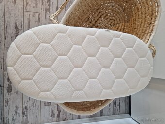 Mojžíšův koš, kolébka - 3