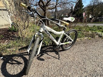 Superior paint 20 - 3