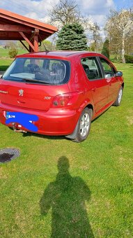 Peugeot 307 - 3