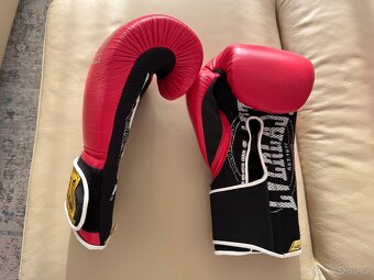 Boxerské rukavice Everlast 1910 16oz - 3
