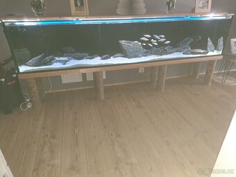 Akvarium 250xv50xš38 - 3