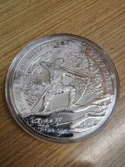 10 Oz investiční mince stříbro - 3