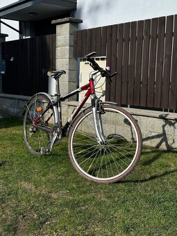 KOLO ACSTAR FLORIDA SX - 3