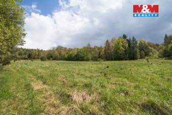 Prodej louky, 3586 m², Velenov - 3