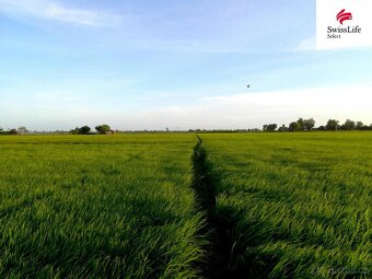 Prodej pole 75919 m2, Knínice - 3