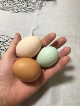 Domácí slepičí vajíčka - 3