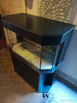 Terarium/akvarium/paludarium - 3