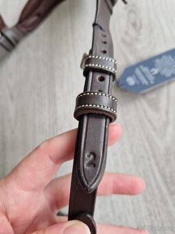 Uzdecka PS of Sweden cob - 3