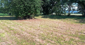 Pozemek 1.200 m2 zahrada, sport, výroba, služby - 3