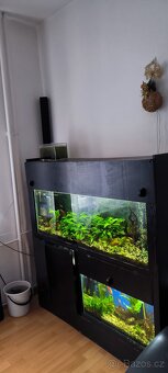 akvarijní set - 3