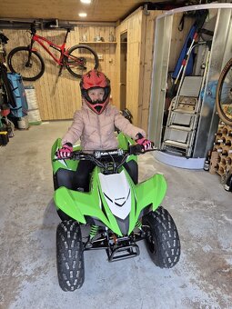 Kawasaki KFX90 - 3