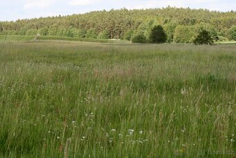 pastevní ustájení Plzeňsko - 3