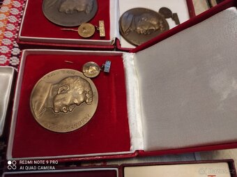 Plakety s medajle - 3