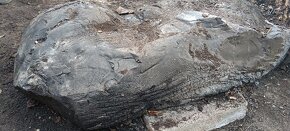 Daruji za odvoz Asfalt, kostka 80x50x30cm - 3