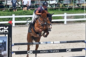 Klisna do vysokého sportu - 3