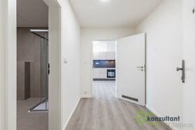 Pronájem byty 1+kk, 32 m2 - Brno - Veveří, ev.č. 00437 - 3