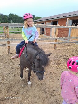 Pony klisna 9 let - 3