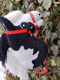 Hobby horse - 3