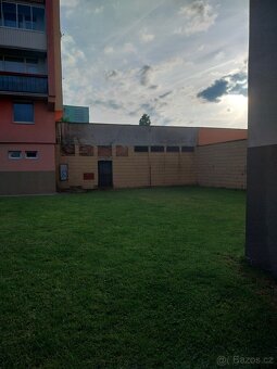 Pronajmu byvaly vymenik - 3