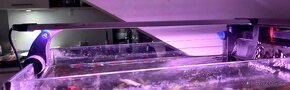 Akvarium 38l - 3