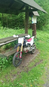prodám pitbike wpb 140 - 3