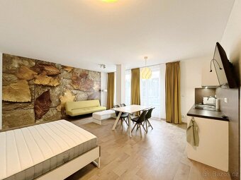 Pronájem bytu 1+kk 46 m² Kobližná, Brno - Brno-město - 3