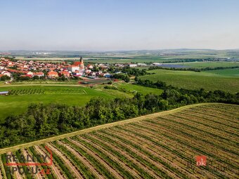Prodej, pozemky/vinice/sady, 256256 m2, Zaječí, Břeclav [ID  - 3