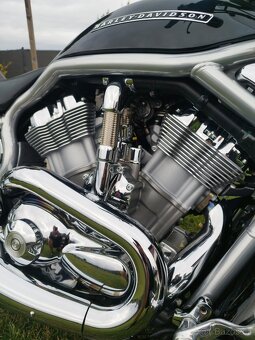 Harley Davidson V-rod VRSCA - 3