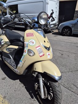 Kentoya Lion rok 2019, nájezd 14500 - 3