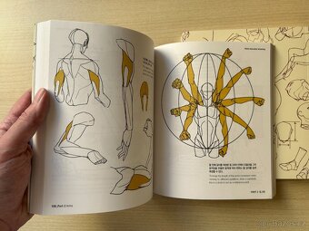 TACO - Point Character Drawing - Kreslení Manga postav - 3