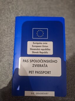 Prodam Sibiřského Huskyho - 3