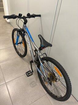 Kolo Author ,,24” - 3