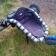 Kite bugy - 3