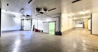 Pronájem, komerční prostor 4500 m2, Černožice nad Labem, Krá - 3