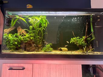 Akvarijní set 240l - 3