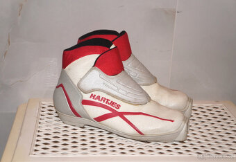 Běžkařský komplet běžky 192 cm +boty 39 +hůlky, běžecký set. - 3