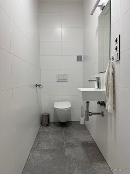 Pronajem bytu 3+kk - 3