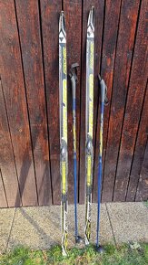 běžky Fischer 157cm - 3