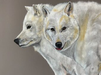 Obraz Strážci Arktiky, pastel - 3
