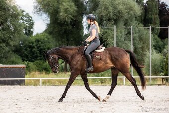 4 lety valach do sportu - 3