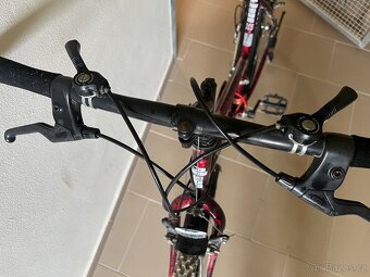 Kolo grizzly mtb - 3