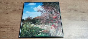 Obrazy Vietnam - 42 x 42 cm hliníkový rámeček - 3