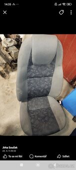 Felicia color line - 3