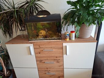 Akvárium diversa 30 l - 3