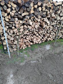 Palivové tvrdé dřevo - 3
