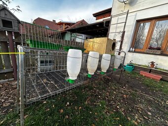 Klec na králíky - 3